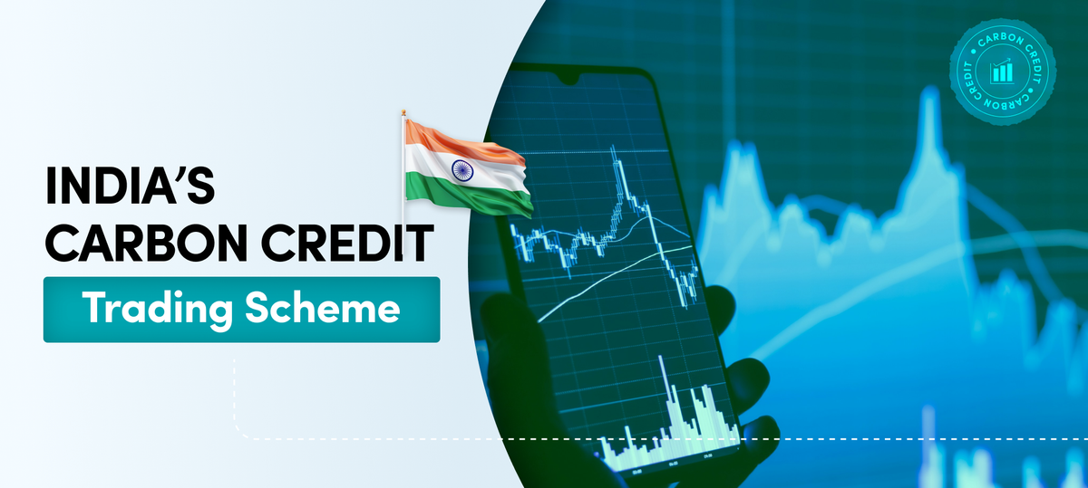 Carbon Trading Platforms in India: How Buying Carbon Credits Is Powering Afforestation