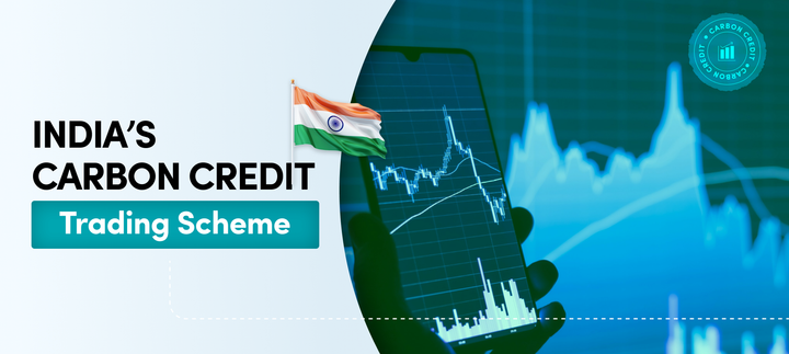 Carbon Trading Platforms in India: How Buying Carbon Credits Is Powering Afforestation